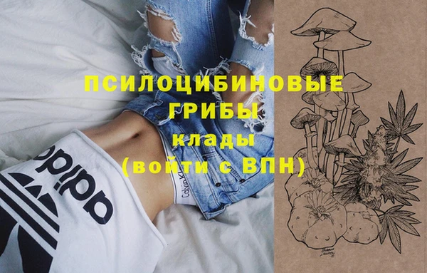МДМА Алексеевка