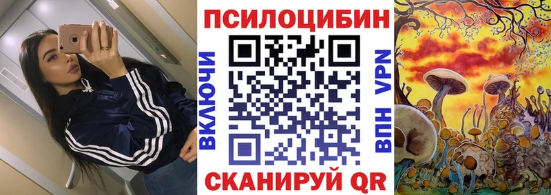 Псилоцибиновые грибы мухоморы  где найти наркотики  Нурлат 