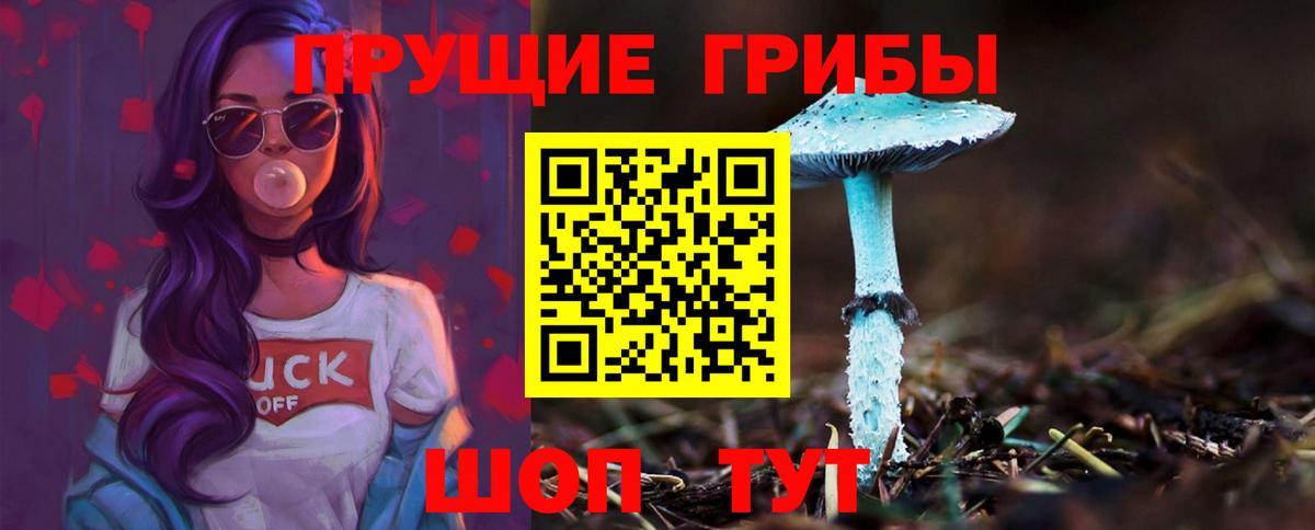 Нурлат  Галлюциногенные грибы Cubensis  Вход с VPN 